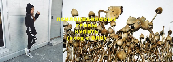 каннабис Алзамай