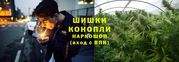 spice Алексин