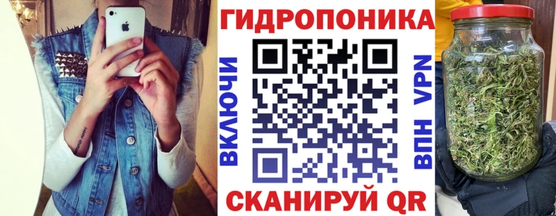 Бошки марихуана семена  Новороссийск 